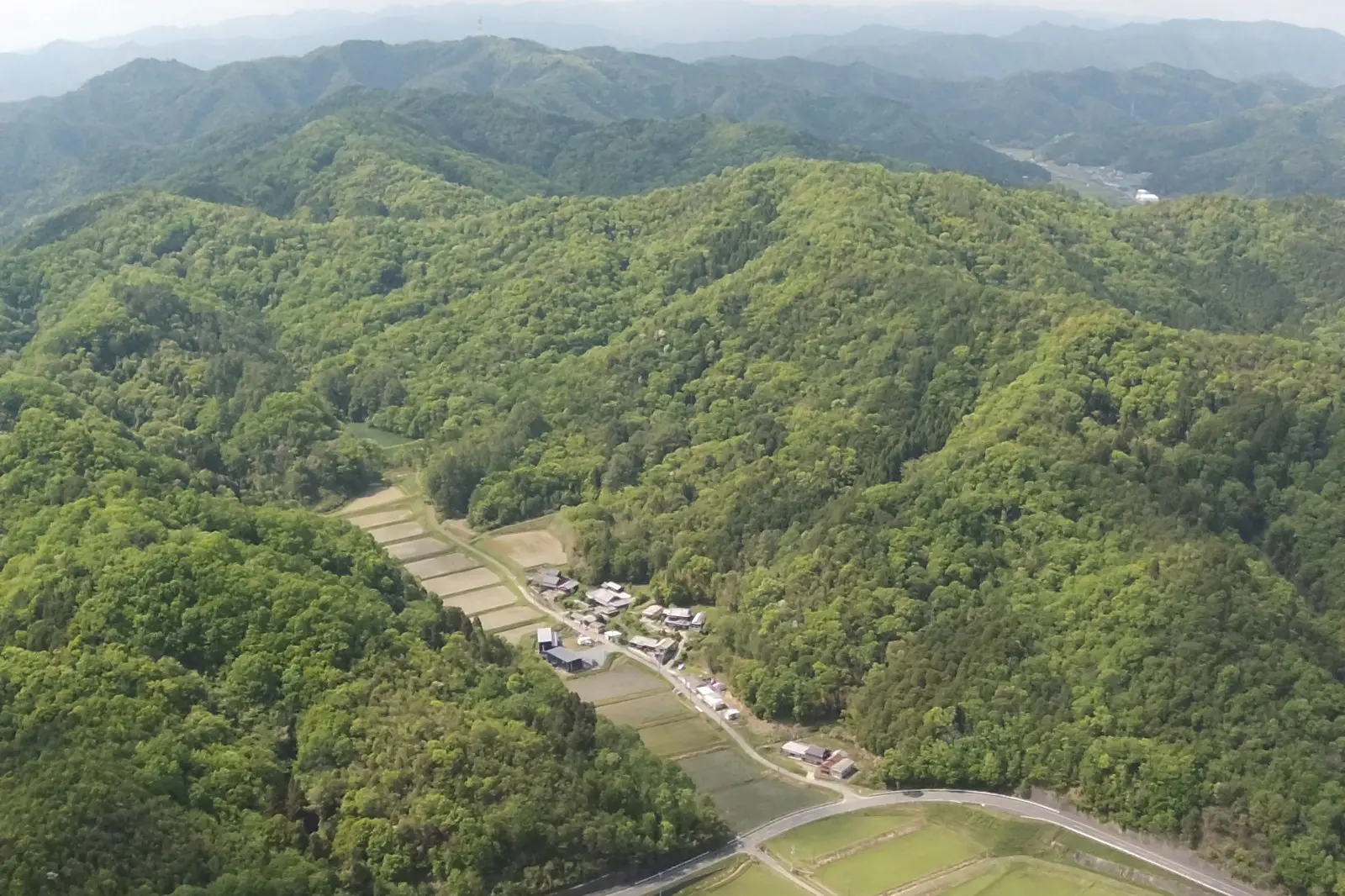 運営している田んぼをドローンで上空から撮影した写真